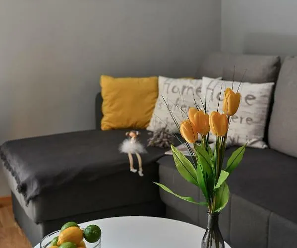 公寓 Casa Di Montagna